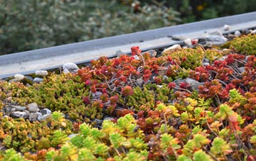 the cost of Elkington green roof installation