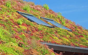 Elkington living roof systems